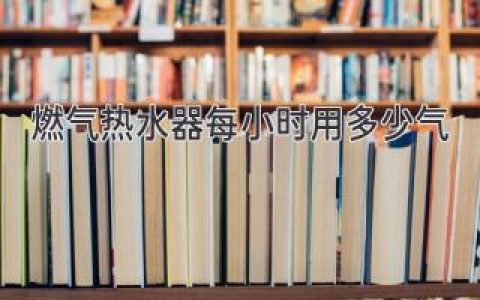 燃气热水器耗气量揭秘：影响因素及节约妙招