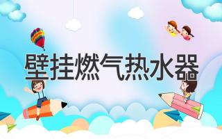 壁挂燃气热水器