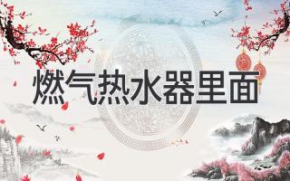 燃气热水器里面