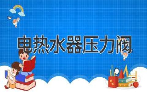 电热水器安全守护神：揭秘压力阀的秘密