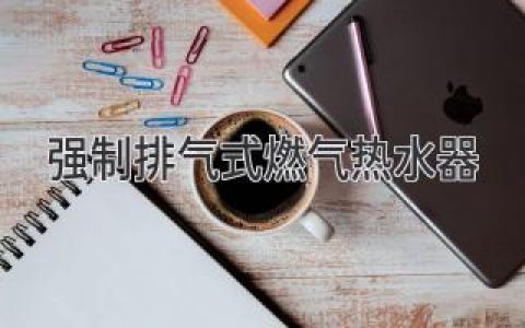 强制排气式燃气热水器：安全、高效的热水解决方案