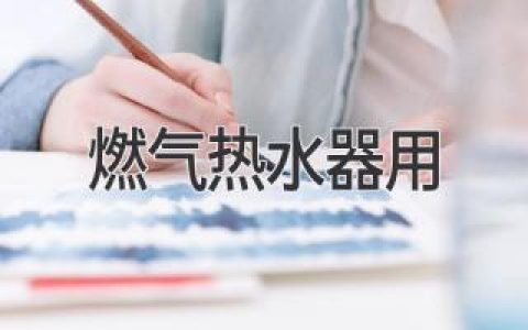 燃气热水器用什么气_燃气热水器用的什么气体