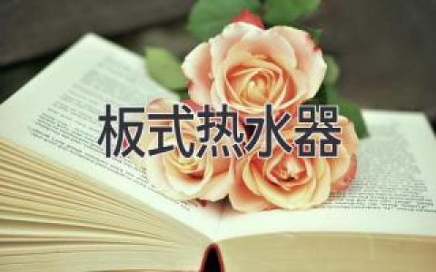 告别笨重，拥抱高效：现代家庭的热水选择