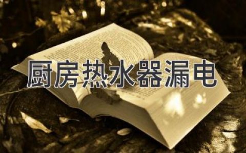 厨房热水器漏电问题解析及解决方案