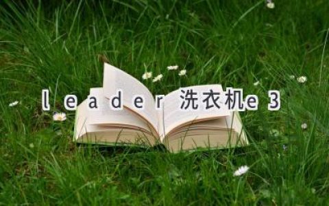 Leader洗衣机故障代码E3：原因解析与解决方法