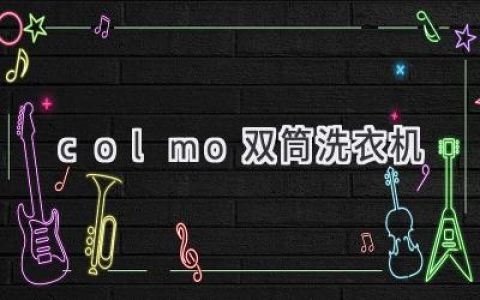 双筒洗衣机新选择：Colmo为你带来高效便捷的洗护体验