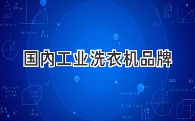 国内工业洗衣机品牌