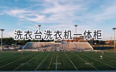 洗衣台 洗衣机一体柜