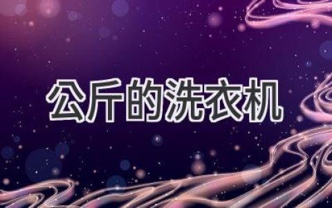 洗衣机容量大揭秘：选购适合你的洗衣“帮手”