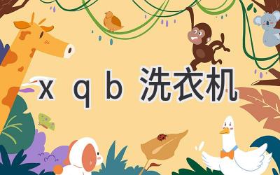 xqb 洗衣机