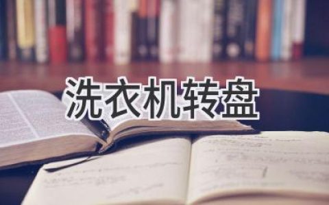 洗衣机内部的旋转秘密：转盘背后的科技与设计