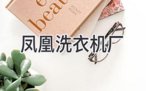 凤凰洗衣机厂：辉煌过往与未来展望