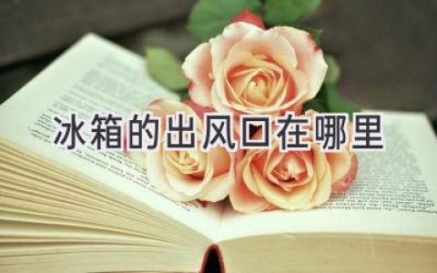 冰箱冷气从哪里吹出来？找到它，让你的食物更美味！