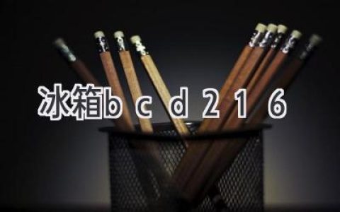 冷藏保鲜，安心享受：BCD-216冰箱的魅力