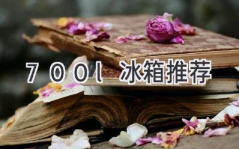 寻找空间自由：超大容量冰箱推荐指南
