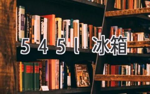 大容量冰箱选购指南：空间自由，生活更美好