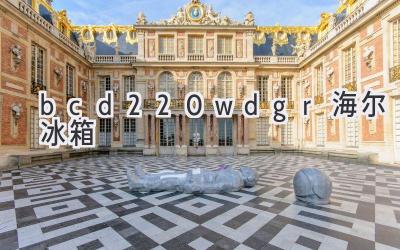 bcd220wdgr海尔冰箱