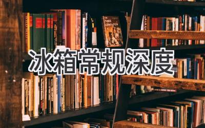 冰箱常规深度