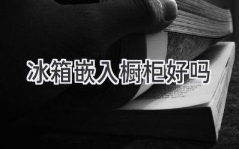 嵌入式冰箱，为你的厨房打造优雅与实用