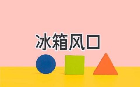 冰箱里的“秘密通道”：风口作用揭秘，让你的食物更美味更长久