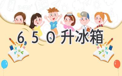 650升冰箱