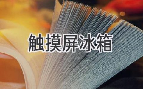 智能厨房的掌上明珠：触摸屏冰箱开启全新生活方式