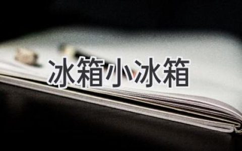 冰箱选购指南：小巧精致，冷藏美味