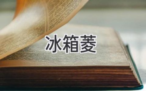 冰箱里的秘密：菱形格栅的妙用与设计