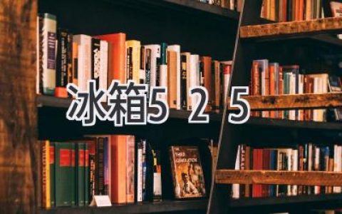 揭秘神秘冰箱数字：525 究竟意味着什么？