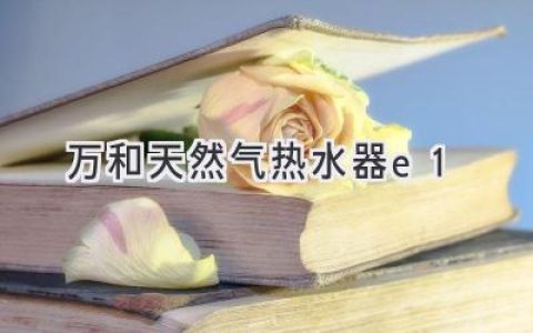 万和天然气热水器故障代码E1：快速诊断与解决方案