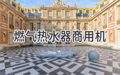 燃气热水器商用机