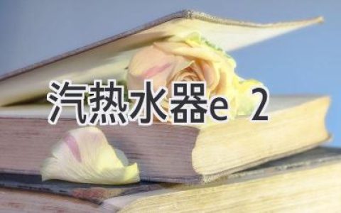 汽热水器故障代码E2：原因解析与解决方法