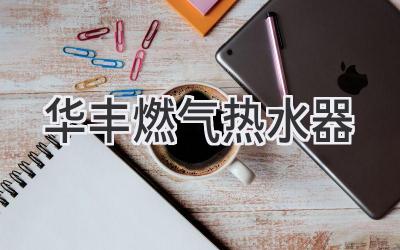 华丰燃气热水器