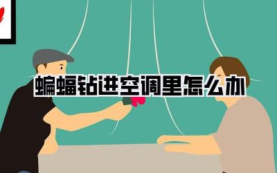 蝙蝠钻进空调里怎么办