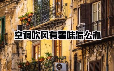 空调吹风有霉味怎么办