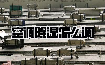 空调除湿怎么调