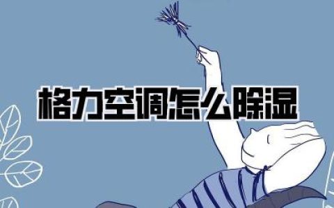 格力空调怎么除湿