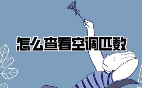 怎么查看空调匹数