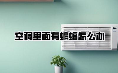 空调里面有蝙蝠怎么办