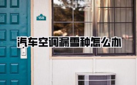 《汽车空调漏雪种怎么办？别慌！老司机教你几招自救+防坑指南》