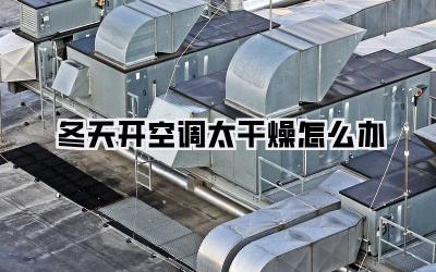冬天开空调太干燥怎么办