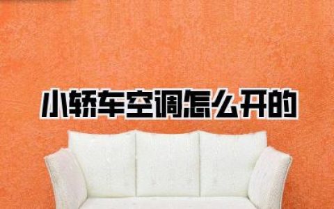 【新手秒懂】保姆级小轿车空调怎么开的教程，告别“桑拿房”模式