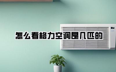 怎么看格力空调是几匹的