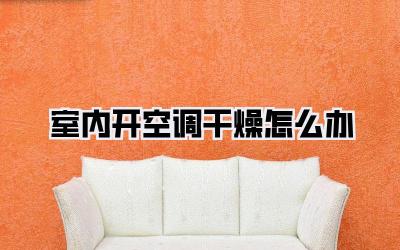 室内开空调干燥怎么办