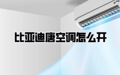 【比亚迪唐空调怎么开】夏天来了，热҈ 热҈ 热҈ 炸了！必须安排！