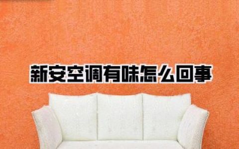 【新安空调有味怎么回事】