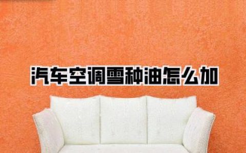 ### 汽车空调雪种油怎么加，让你的爱车冷风像初恋般清爽！