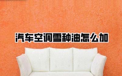 汽车空调雪种油怎么加