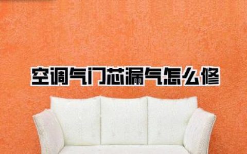 空调气门芯漏气怎么修：别慌！老司机教你几招，轻松搞定烦人异响和制冷不给力！