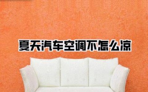 夏天汽车空调不怎么凉，热浪滚滚我快融化了！
